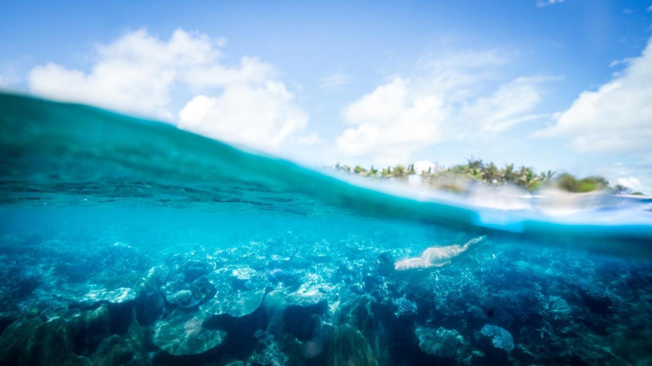 รีสอร์ทพาราไดซ์โคฟ Naukacuvu Island ภายนอก รูปภาพ