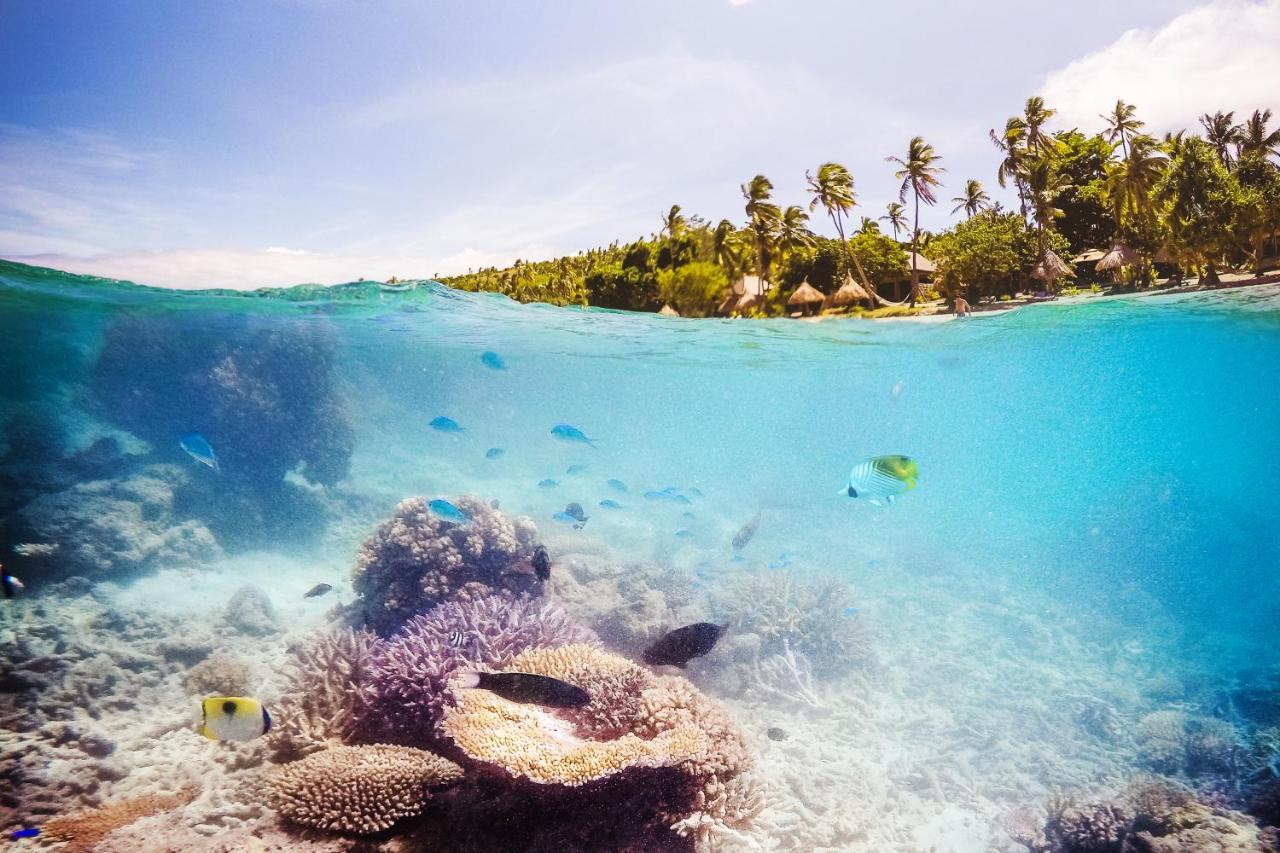 รีสอร์ทพาราไดซ์โคฟ Naukacuvu Island ภายนอก รูปภาพ
